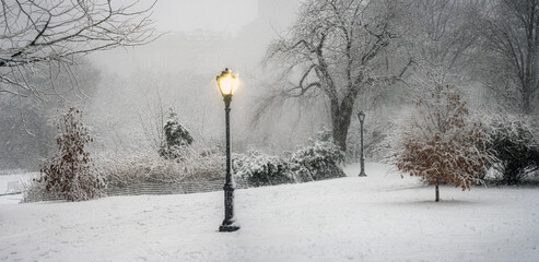 Central Park in winter , during snow storm