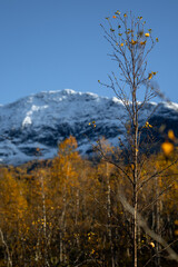 A beautiful autumn landscape with snowy mountain tops in Northern Norway. Seasonal scenery of Scandinavia.