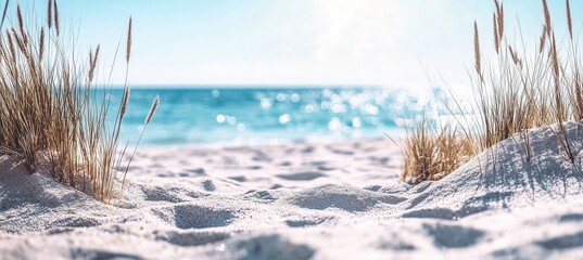  a beach with white sand and a blue sea in the background, a summer banner template for design.