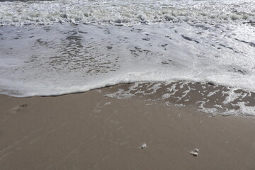 Wave Foam Gently Touching Sandy Shoreline on a Sunny Day