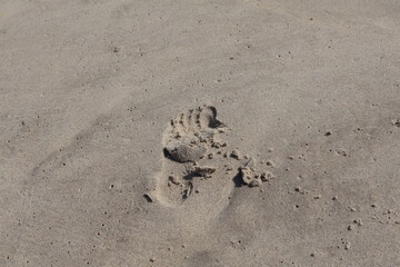 Single Footprint in Smooth Beach Sand