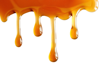 PNG Maple syrup drip melted honey appliance seasoning.