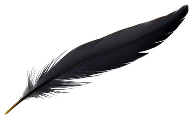 PNG Feather white background lightweight accessories.