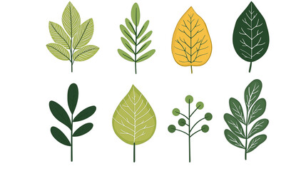 Obraz premium cartoon leaves illustration material 