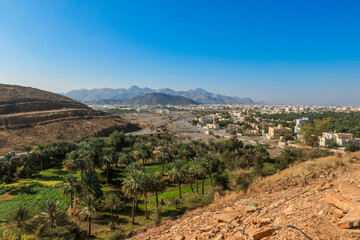 Majestic view of lush palm farms and urban landscape in Oman under the clear blue sky on a sunny day