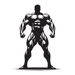 muscular male figure. eps