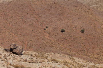 Texture of foothills thinly covered with bushes, shrubs and herbs indicating low precipitation near Abarkuh, Yazd, Iran. 