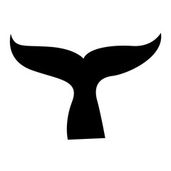 tail of a whale in the water