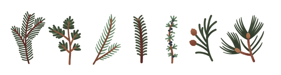 Fototapeta premium Evergreen Fir and Pine, Juniper Branches Vector Set