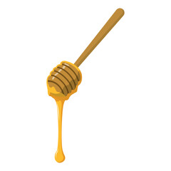 Fresh honey dripping from dipper. Vector illustration. Isolated on white background