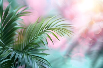 Obraz premium A close up of a plant with a blurry background