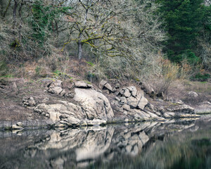 Forest landscape and granite boulders on the banks of the River