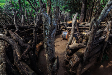 Exploring a traditional village in Eswatini featuring unique wooden structures and serene surroundings