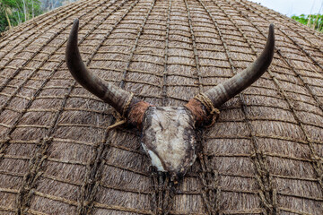 Traditional Eswatini village features a thatched hut adorned with an impressive bull skull symbolizing local culture and heritage