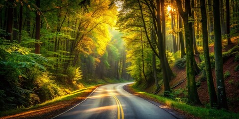 Aerial View of a Road in a Serene Forest - Low Light Photography for Nature Lovers