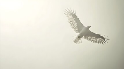 Obraz premium Minimalist Silhouette of a Majestic Bald Eagle Soaring Against a Light Background