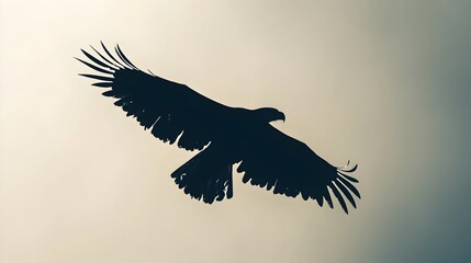 Fototapeta premium Minimalist Bald Eagle Silhouette on Light Background with Ample Copy Space