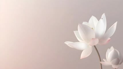 Obraz premium Minimalist White Thai Lotus Flower Design in Soft Pastel Tones with Blank Space for Text or Logos