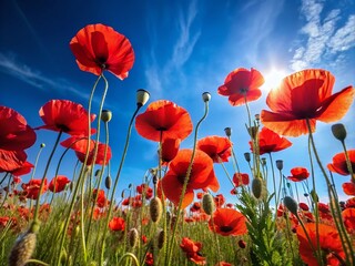 Beautiful Red Poppies Field Pattern for Nature Lovers and Floral Designs