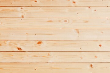 Fototapeta premium Natural wood background texture