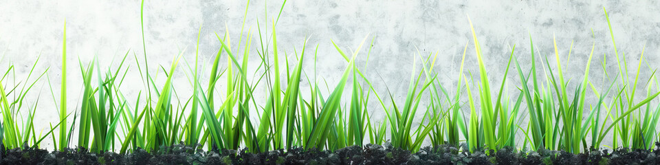 Grass Green Growth: Vibrant green blades of grass emerge from a bed of soil, growing taller and stronger against a soft gray background.