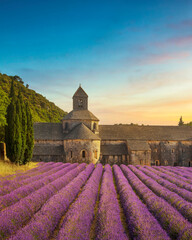 The Abbey of Senanque and the rows of lavender in bloom, panoramic view. Gordes, Vaucluse, Provence, France.
