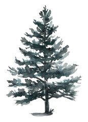 Obraz premium PNG Pine pine christmas drawing.