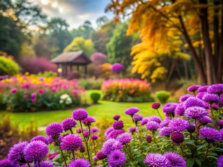 Obraz premium Colorful Flower Garden Background with Tapak Dara Close-Up and Blurred Purple Flowers Amidst Green Leaves in Autumn