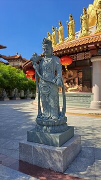 asia deva