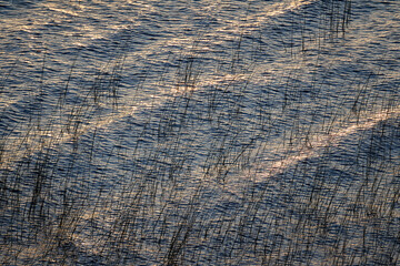 Discovering the hidden gem of Lake Titicaca Suasi Island. A serene escape where nature meets Tranquility, offering breathtaking views and a glimpse into the rich culture of Peru. Every moment here fee