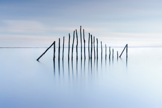 Dessin d'un poisson form&eacute; &agrave; base de bois