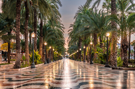 Alicante. Explanada de Espa&ntilde;a