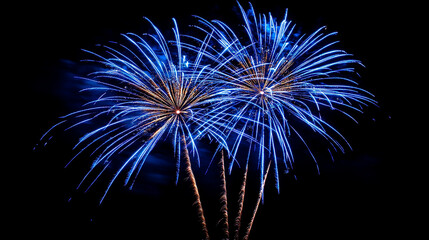 Radiant Blue Fireworks in the Dark Sky