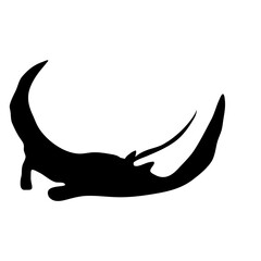 Manta Ray Silhouette