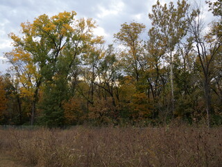 Fototapeta premium Autumn at Cedar Lake Public Park in Olathe KS