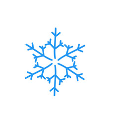 snowflake vector element