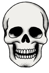 Fototapeta premium Hand Drawn Doodle Bow Illustration