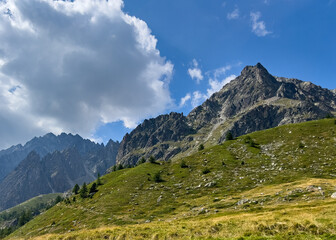 Obraz premium Mountain peak named Mont de Crete Seche. Dark rock bright vegetation
