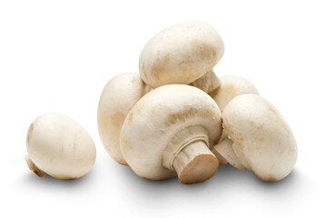 Champignon on a white background