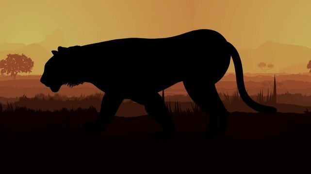 Tiger walking animation