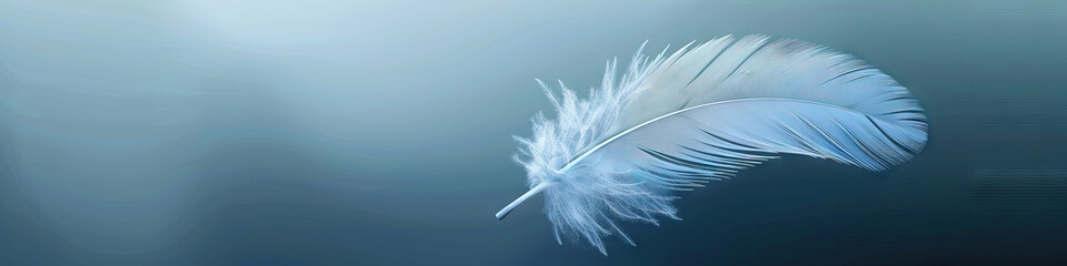Soft Blue: A delicate feather gently gliding downward, its soft color standing out against a muted background.