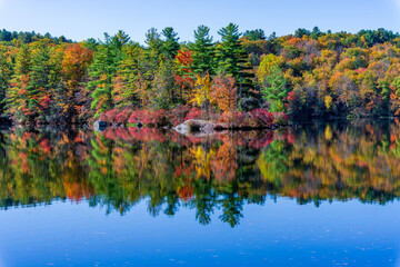 New England forest during autumn reflected in a lake