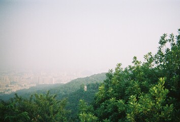 morning in the mountains