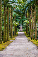Fototapeta premium A view down an avenue of palm trees in Furnas on the island of San Miguel in the Azores in summertime