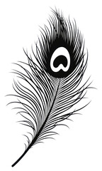 Obraz premium PNG Peacock feather black white art.