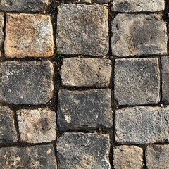 Close-up of rustic cobblestone pavement texture in a natural outdoor setting.