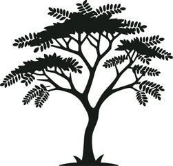 A simplistic representation of a Acacia: silhouette in a flat vector style, featuring a clean design against a white background Adobe Illustrator Artwork