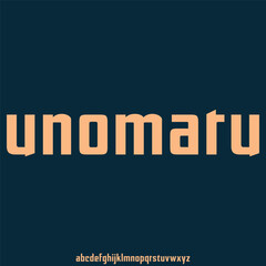 a font combination between vintage and modern Japanese type style alphabet