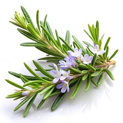 Fototapeta premium bunch of lavender