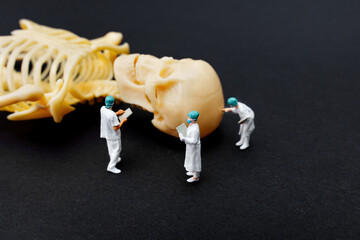 Miniature Surgeons Discussing Human Skeleton Model on Black Surface